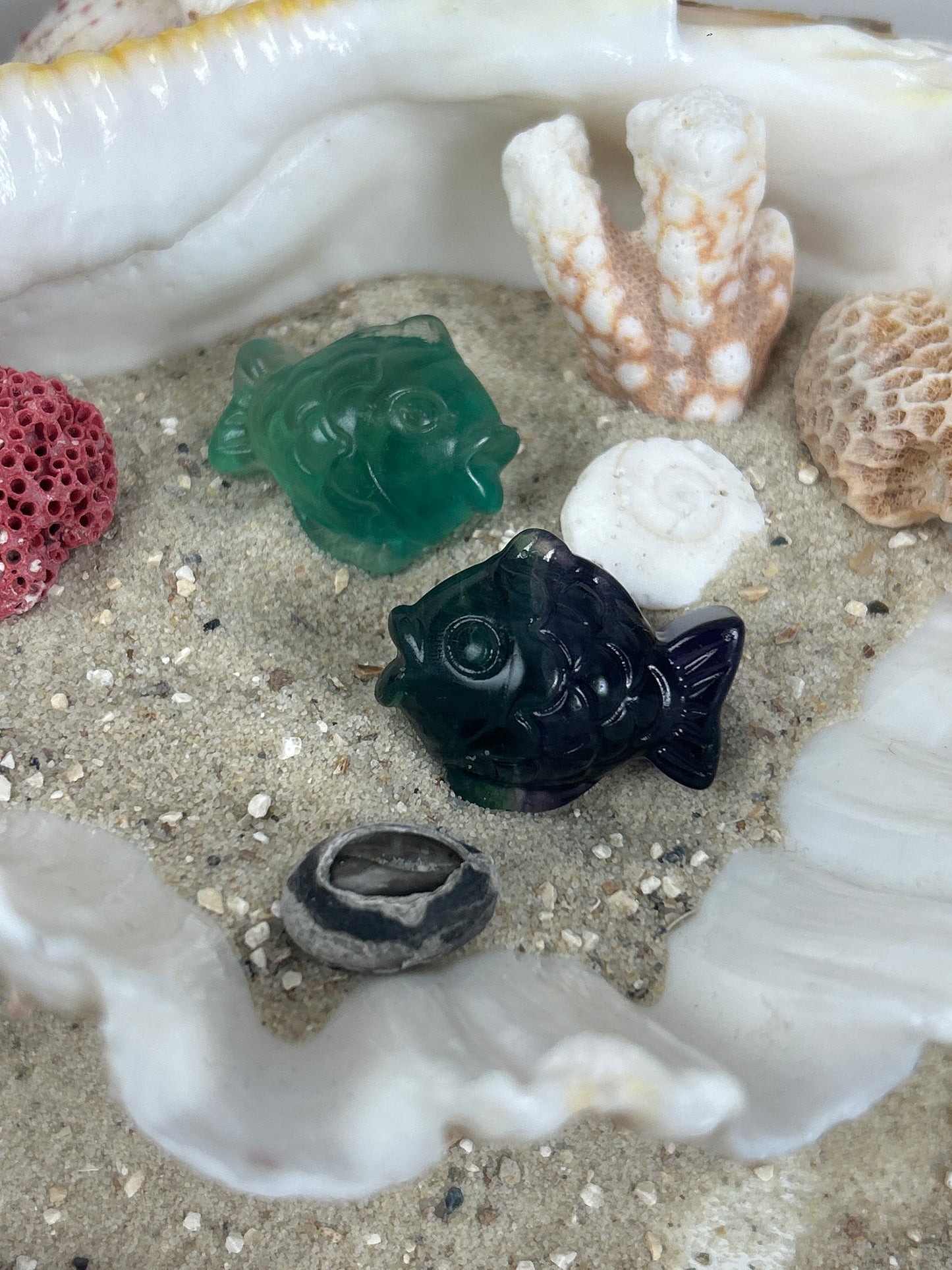 Fluorit Carvings - Ocean Magic