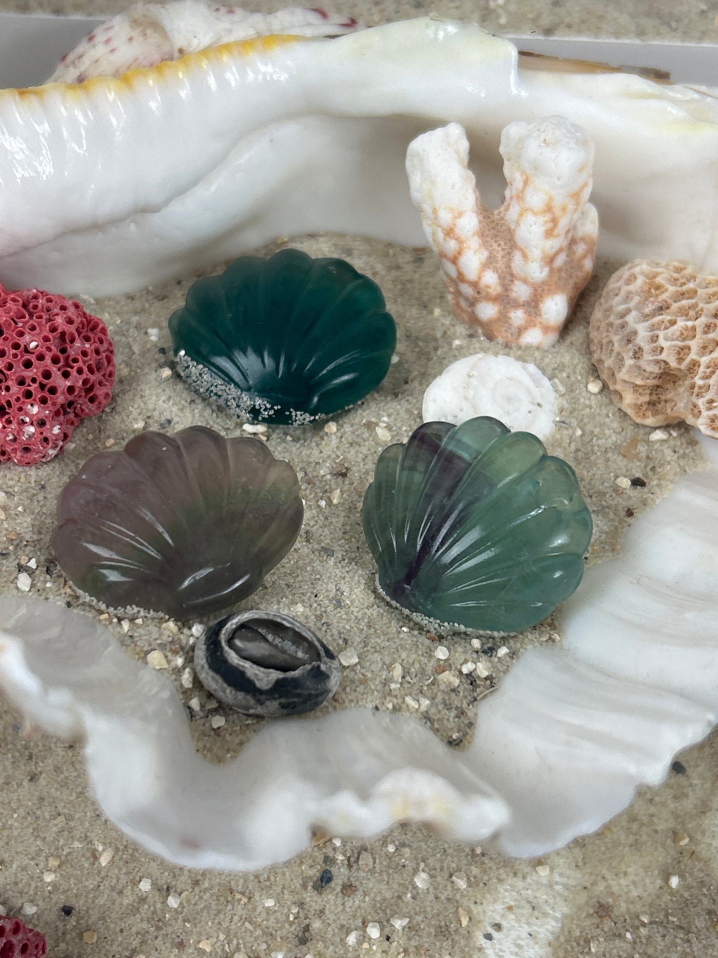 Fluorit Carvings - Ocean Magic