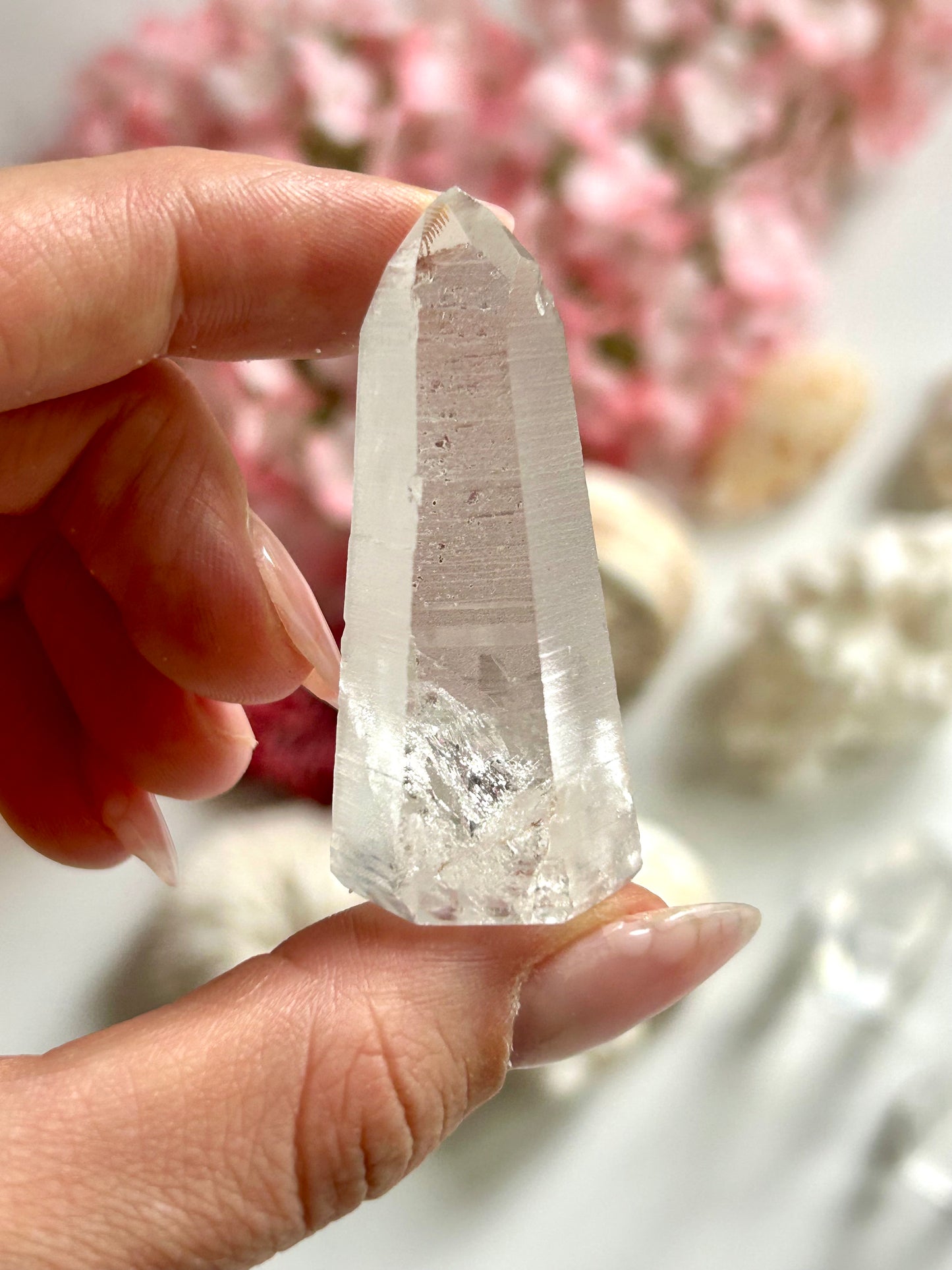 Mini Lemurian