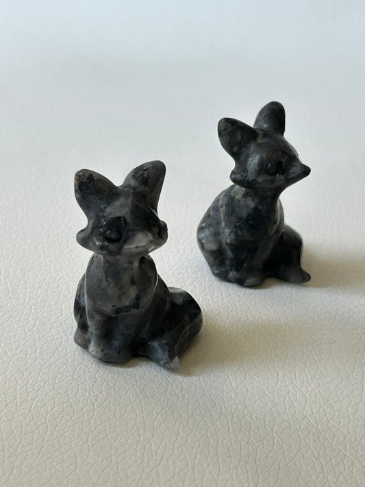 Larvikit Fuchs