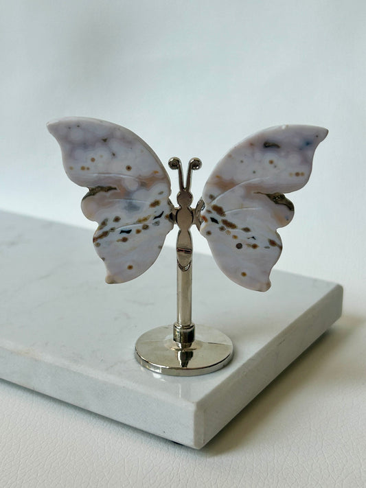 HQ Ozeanjaspis Schmetterling - E