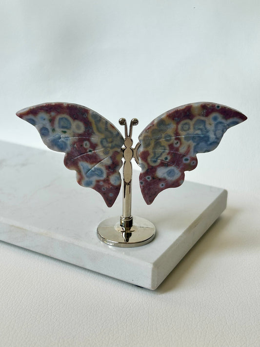 HQ Ozeanjaspis Schmetterling - D