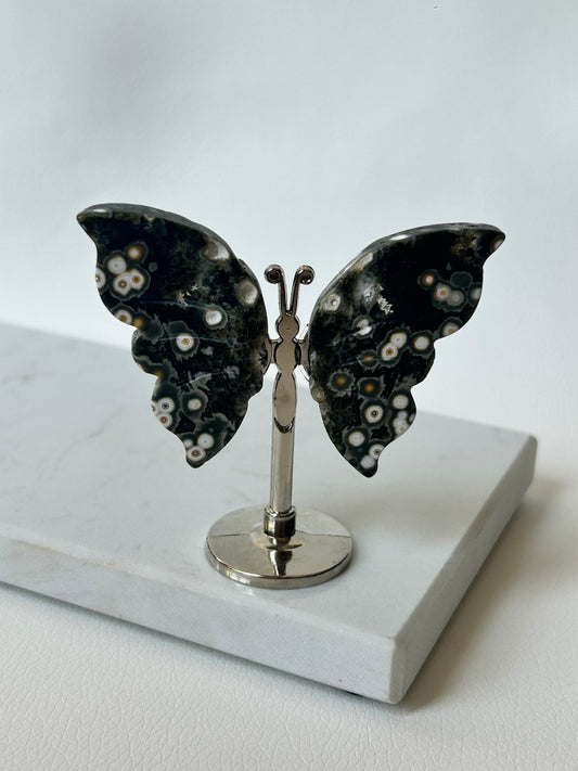 HQ Ozeanjaspis Schmetterling - A