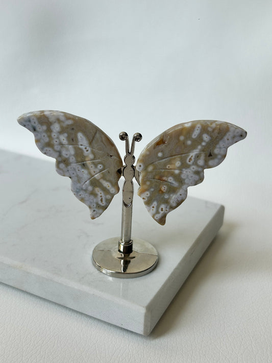 HQ Ozeanjaspis Schmetterling - B