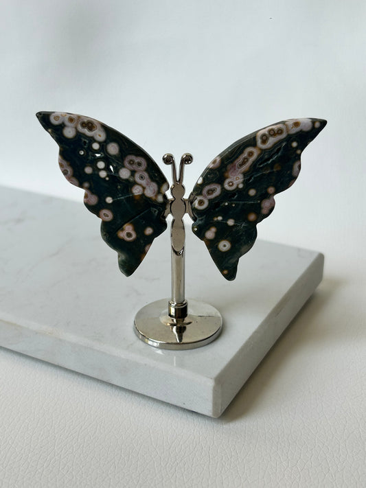 HQ Ozeanjaspis Schmetterling - C